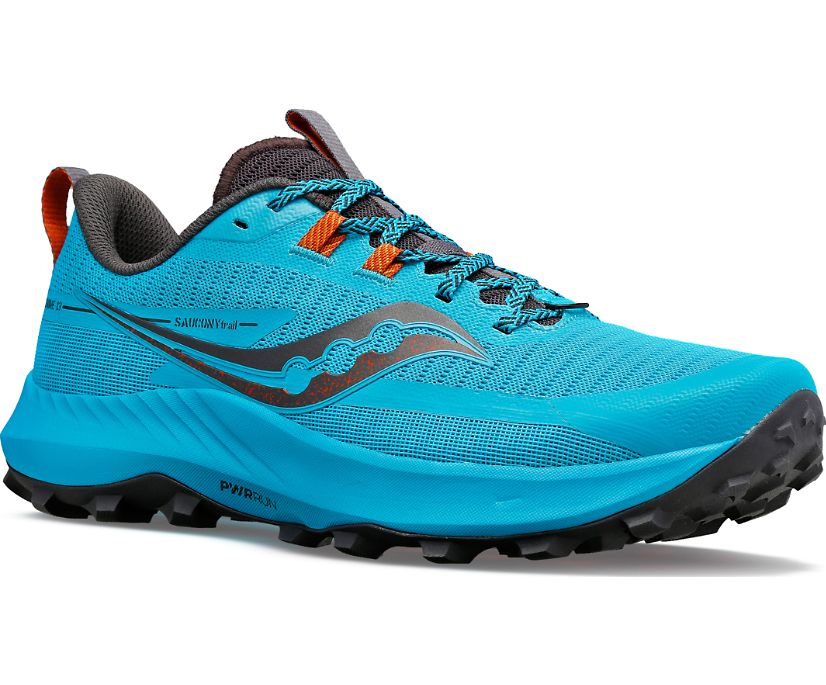Chaussure de Trail Saucony homme Peregrine 13 bleu - Clubinsport