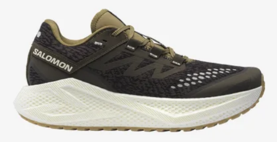 Chaussures de route et chemins mixte homme Salomon Aeroglide 3 Grvl brune