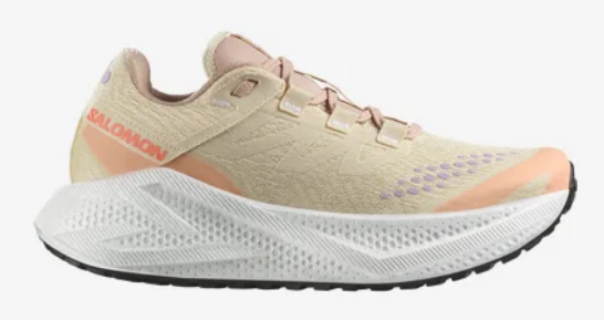 Chaussures de route et chemins mixte femme Salomon Aeroglide 3 Grvl beige