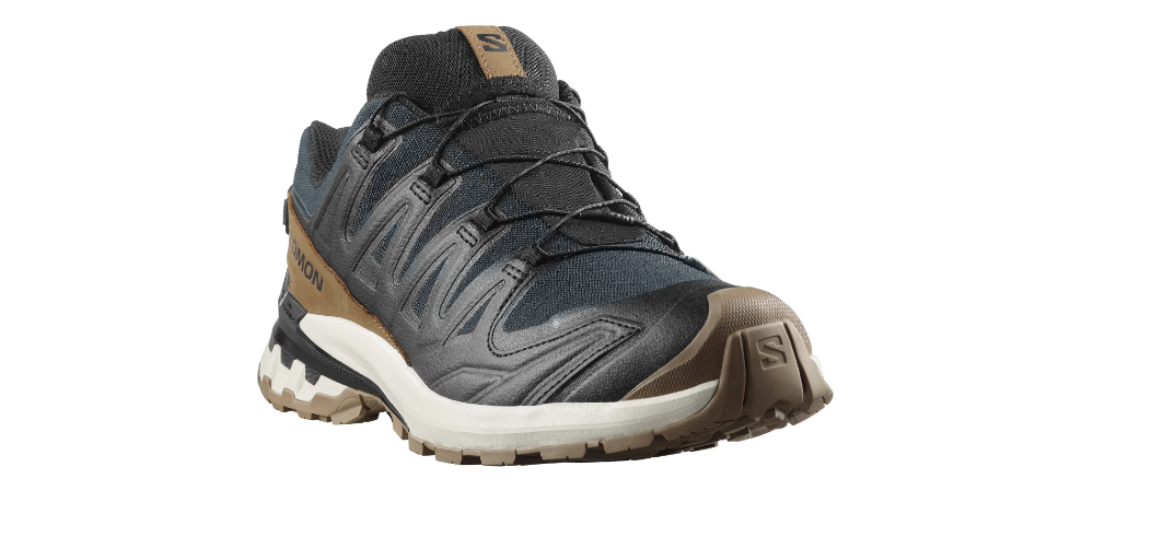 Chaussures de Trail homme XA PRO 3D V9 GTX Salomon Lifelong