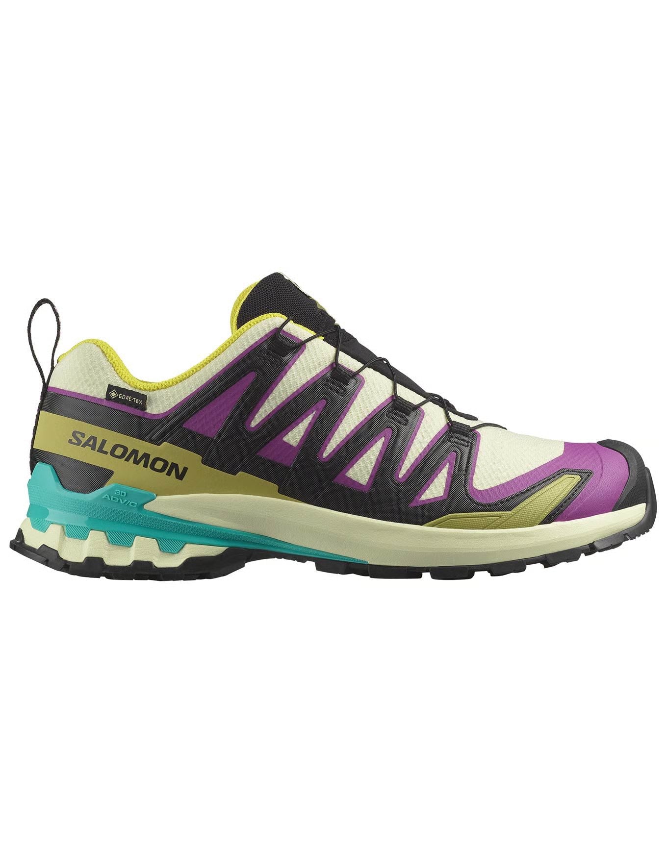 Chaussures de Trail homme XA PRO 3D V9 Salomon retro