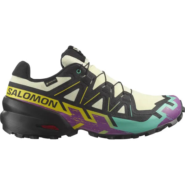 Chaussures de Trail homme Salomon Speedcross 6 GTX retro