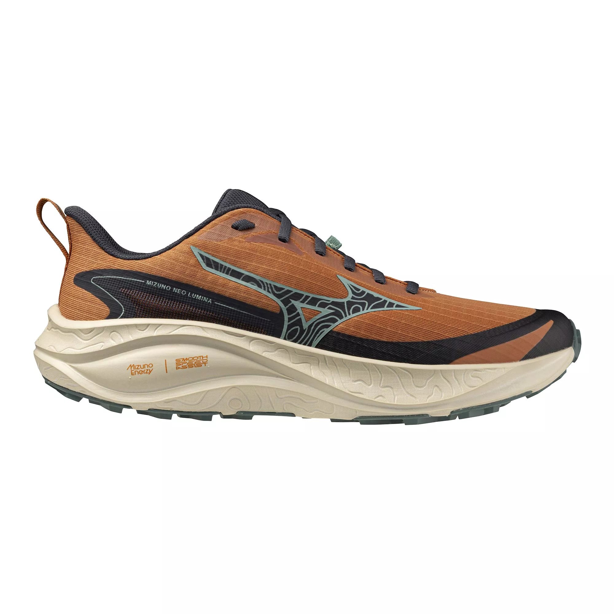 Chaussures de route et sentiers homme Mizuno Neo Lumina
